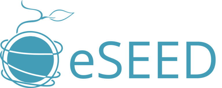 eSEED | CTO/CPO as a service - Software Development Outsourcing